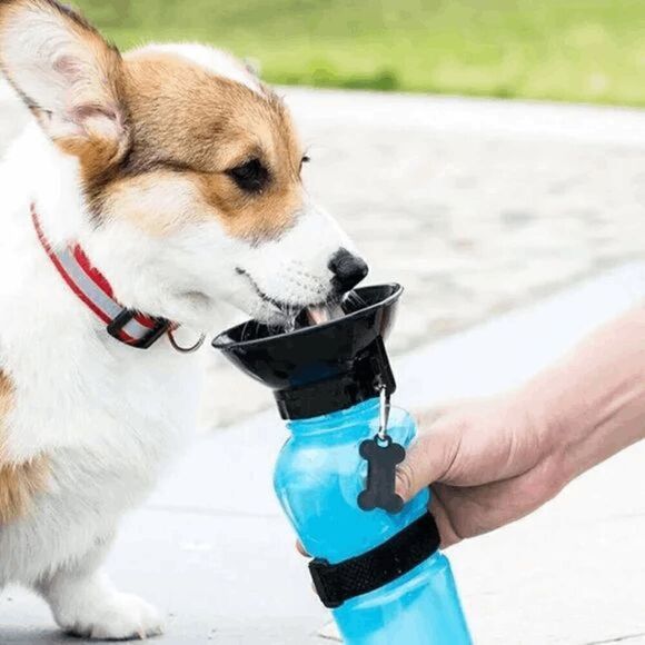 PORTABLE DOG/CAT/PET WATER BOTTLE - Picture 1 of 2